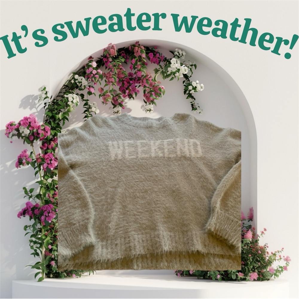 Polagram Fuzzy light gray Sweater XS